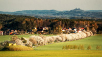 alej frydštejn a749a7300b539e2de696798f7c7592af XL